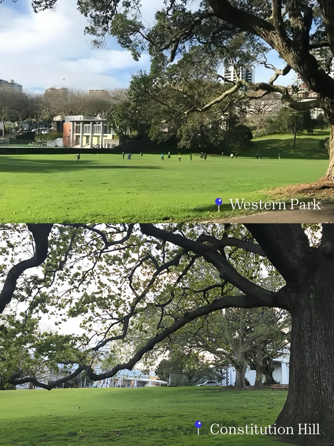 逃离工位！奥克兰CBD藏着10个神仙公园🌳_5_Barfoot & Thompson_来自小红书网页版